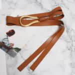 Luxury Sculpted Gold Buckle Waist Belt for Women | Adjustable Leather Belt in Red & Brown - 图片 20