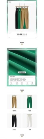 Luxury High-Waist Belted Wide-Leg Trousers for Women – Elegant Tailored Office & Casual Chic Pants with Statement Belt - 图片 7