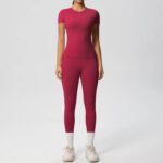 Luxury Seamless Pink Two-Piece Activewear Set – Short Sleeve Top & High-Waist Leggings Gym Outfit - 图片 11